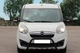 Кенгурятник WT003 Black (нерж) для Opel Combo 2012-2018 гг - изображение 4