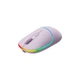 Мишка Canyon MW-22 Dual Band RGB Wireless Pearl Rose (CNS-CMSW22PR) - изображение 4