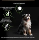 Сухой корм Purina PRO PLAN Medium Puppy <1 Healthy Start для щенков средних пород, с курицей 12 кг (7613035120402) - изображение 6