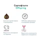 Підгузки Offspring трусики Розмір L (9-14 кг) 36 шт, Підводний світ (9355465009053) (DP-OI-FAP-L36P-AQT) - изображение 8