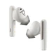 Навушники Poly Voyager Free 60+ Earbuds + BT700A + TSCHC White (7Y8G5AA) - изображение 1