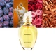 Туалетна вода для жінок Givenchy Amarige 50 мл - зображення 3