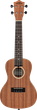 Ukulele Lanikai Learning - obraz 1