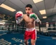 Професійні рукавиці для боксу Pro Mex Combatiente Pro Fight Boxing Gloves Mexico в розкрасці Мексики , нові , розмір 10oz на зав'язку - изображение 4
