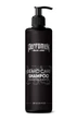 Набір для догляду за бородою PerfomeN Beard Care sh/250 мл - зображення 2