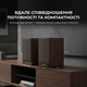 Акустические колонки Sharp CP-SS30 Brown - изображение 6