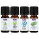 Набор эфирных масел для баланса NOW Foods "Seasonal Changes Balancing Essential Oils Kit" (4 флакона по 10 мл) - изображение 1