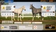 Ключ активации Rival Stars Horse Racing для Xbox One/Series S/X - изображение 9
