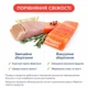 Бытовой вакуумный упаковщик с откачкой воздуха для продуктов Luma Bella LB-63027, автоматический вакуматор с автоматической запайкой до 30 см - изображение 4