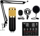 Микрофон студийный конденсаторный Music M-800 с поп фильтром стойкой и ветрозащитой черный золотой - изображение 10
