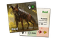 Dodatek do gry planszowej Rebel Zona: Scavenger's Wish REZON02EN (5902650619951) - obraz 4