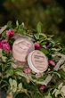 Набор Ukrainian Rose Home Spa для ухода за телом: Очищающий мусс, 200 мл + Антицеллюлитный скраб, 200 мл + Восстанавливающий скраб, 200 мл + Крем-баттер, 120 мл - изображение 2