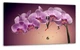 Картина на холсті MAKO Orchid Purple Pink з годинником 30×53 см безшумний плавний хід кварцовий механізм 3053-031 - зображення 1