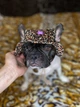 Одежда Hat-Dog Панама из вельвета для собак, лео L (HDLE0001::593) - изображение 3