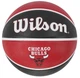 М'яч баскетбольний Wilson NBA TEAM Tribute chi bulls size 7 - изображение 2