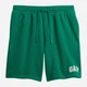 Спортивный костюм мужской Gap 355106320 L Зеленый (1159860871) - изображение 7