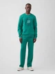 Спортивный костюм мужской Gap 479272257 XL Зеленый (1159860744) - изображение 1