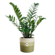 Горщик Elho colour gradient round 18 см зелений 555153 - зображення 3