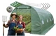 Садовая теплица пленочная армированная 12,5 м² 2,5X5X2 Ekspand TFO19-2,5X5X2-1-Z оцинкованный каркас с одним входом - изображение 1