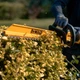 Кущоріз акумуляторний DeWALT (DCMHT562P1) - зображення 11