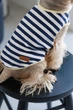 Майка Pet Fashion Tropic для собак L 4823082445691 - зображення 5