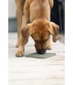 Килимок для годування та лизання для тварин сірий 20×20 см - зображення 3