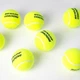 Мяч теннисный DUNLOP COACHING 48 шт - изображение 2