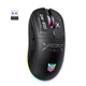 Мишка Games Onikuma CW935 RGB 3 режими (Bluetooth, дротове, 2.4G) (DPI: Max.12800) - зображення 1