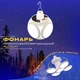 Ліхтар Лампа для кемпінгу акумуляторна BL-2029 + SOLAR на сонячній батареї кемпінговий складаний ліхтар - зображення 7