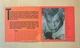 Billy Idol – Billy Idol (1982) Audio CD (импорт, буклет) - изображение 5