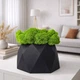 Кашпо Crystal Moss большое со стабилизированным мохом 145×90 мм - изображение 1
