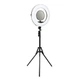 Лампа Fill Light FD-480II Чорний - зображення 1