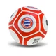 Мяч футбольный FC BAYERN MUNCHEN FP081 №5, PU 420 грамм, 32 панели, сетка+игла в комплекте - изображение 1