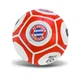 Мяч футбольный FC BAYERN MUNCHEN FP081 №5, PU 420 грамм, 32 панели, сетка+игла в комплекте - изображение 1