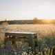 Розкладний стіл Tribe Camp Table Low T-EF-0003-olive 70х44х39,5 см оливковий - зображення 10