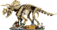 Zestaw klocków LEGO Jurassic World Szkielety dinozaurów: triceratops 1154 elementy (77985) - obraz 2