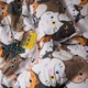 Комплект постельного белья Moon&Star Двуспальный 175х210 см Moon Cats Бязь Gold Люкс (MS-820010927) - изображение 5
