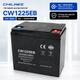 Тяговая аккумуляторная батарея (GEL+Graphene) CHILWEE CW1225EB 12V25Ah - изображение 1