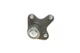 Передній кульовий шарнір MEYLE 116 010 0017 Volkswagen Passat, Sharan, Golf, Tiguan, CC, Touran; Seat Leon; Audi A3, Q3; Skoda Octavia, Superb, Kodiaq 3C0407365A, 3C0407365B, 5QD407365 - изображение 2