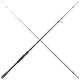Спиннинг Daiwa Prorex AGS Spin Lazy Pike 8` 2.44m 40-120g - изображение 1