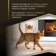 Промо-набор Упаковка влажного корма для взрослых кошек Purina Pro Plan Delicate Мусс с курицей с чувствительным пищеварением 85 г х 12 шт 1.02 кг (8445291990999) - изображение 7