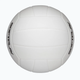 Волейбольний М'яч Wilson Soft Play(WV4008801XBOF) 5 - зображення 6