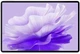 Планшет Oukitel OT8 LTE 6/256GB Purple - изображение 4
