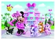 Пазл підлоговий Ravensburger Disney Junior Готель для домашніх улюбленців Мінні з Bow-Toons — Улюбленці Мінні 24 елементи (12004327) (4005555043270) - зображення 3