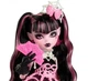 Кукла Монстер Хай Дракулаура Страшно Сладкий День Рождения Monster High Draculaura Birthday Mattel BJ - Уценка - изображение 3