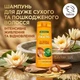 Шампунь для дуже сухого та пошкодженого волосся Garnier Fructis Oil Repair 3 Butter Shampoo 400 ml - зображення 1