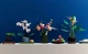 Конструктор LEGO Icons Орхидея (10311) [89184] - изображение 8