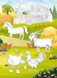 Книжка с наклейками. Ферма - изображение 3