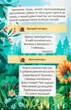 Как перестать скучать? - изображение 5