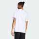 Чоловіча футболка SUMMER SLIDE TRIM GRAPHIC adidas JZ4995 (2XL) білий (4068814003309) - зображення 2
